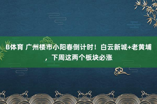 B体育 广州楼市小阳春倒计时！白云新城+老黄埔，下周这两个板块必涨
