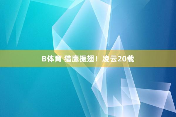 B体育 猎鹰振翅！凌云20载