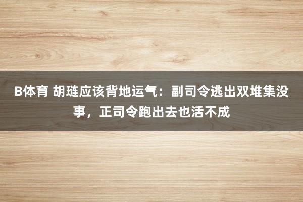 B体育 胡琏应该背地运气：副司令逃出双堆集没事，正司令跑出去也活不成