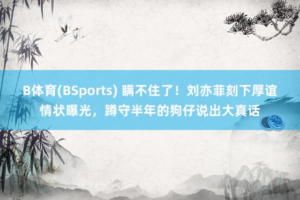 B体育(BSports) 瞒不住了！刘亦菲刻下厚谊情状曝光，蹲守半年的狗仔说出大真话