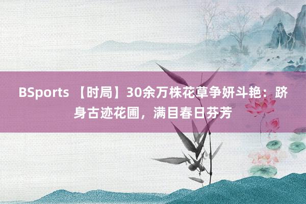 BSports 【时局】30余万株花草争妍斗艳：跻身古迹花圃，满目春日芬芳