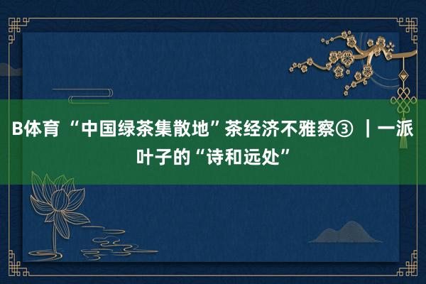 B体育 “中国绿茶集散地”茶经济不雅察③ ｜一派叶子的“诗和远处”