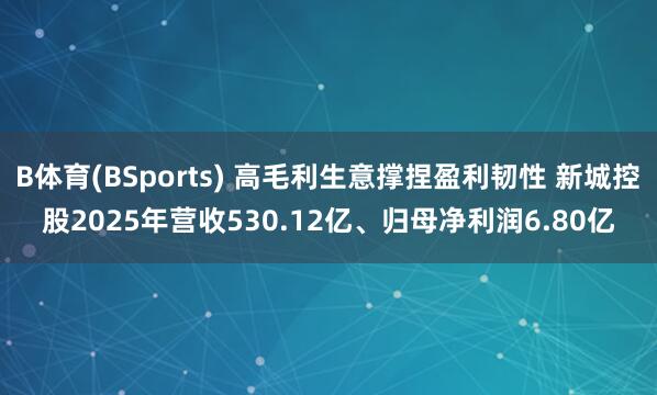 B体育(BSports) 高毛利生意撑捏盈利韧性 新城控股2025年营收530.12亿、归母净利润6.80亿