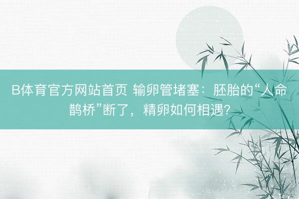 B体育官方网站首页 输卵管堵塞：胚胎的“人命鹊桥”断了，精卵如何相遇？