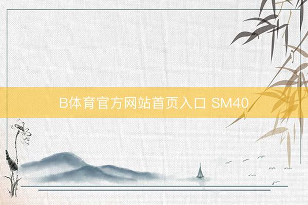 B体育官方网站首页入口 SM40