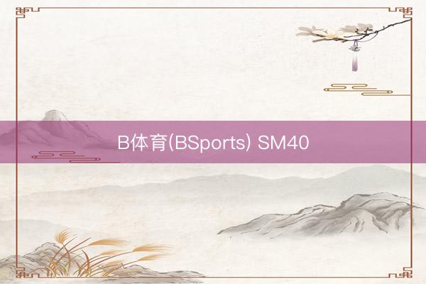 B体育(BSports) SM40