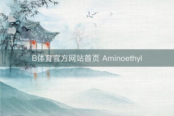 B体育官方网站首页 Aminoethyl