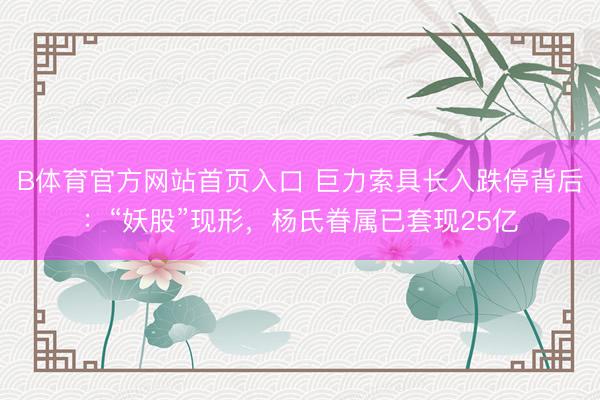 B体育官方网站首页入口 巨力索具长入跌停背后：“妖股”现形，杨氏眷属已套现25亿