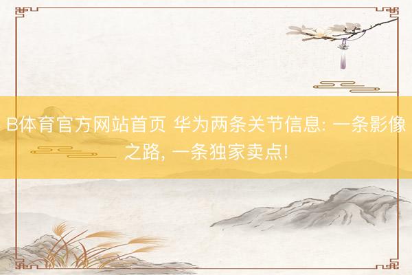 B体育官方网站首页 华为两条关节信息: 一条影像之路, 一条独家卖点!