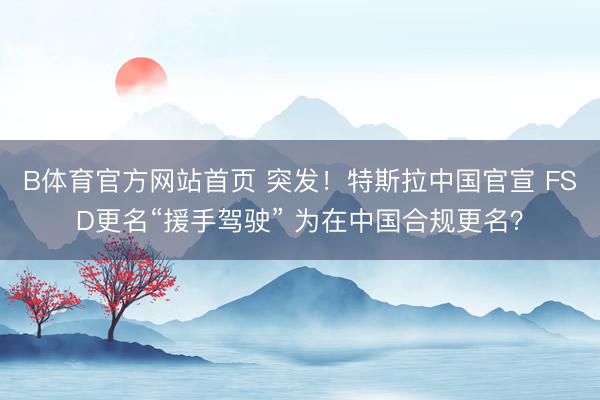 B体育官方网站首页 突发！特斯拉中国官宣 FSD更名“援手驾驶” 为在中国合规更名？