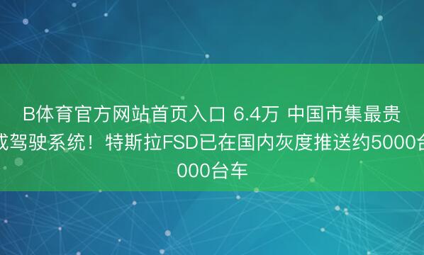 B体育官方网站首页入口 6.4万 中国市集最贵赞成驾驶系统！特斯拉FSD已在国内灰度推送约5000台车