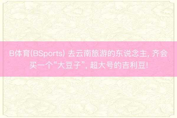 B体育(BSports) 去云南旅游的东说念主， 齐会买一个“大豆子”， 超大号的吉利豆!