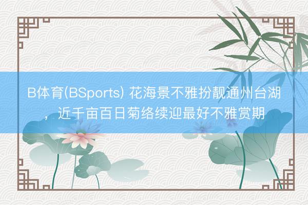 B体育(BSports) 花海景不雅扮靓通州台湖，近千亩百日菊络续迎最好不雅赏期