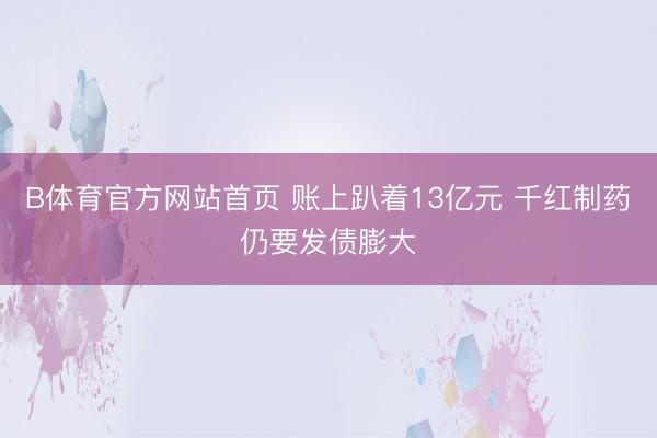B体育官方网站首页 账上趴着13亿元 千红制药仍要发债膨大