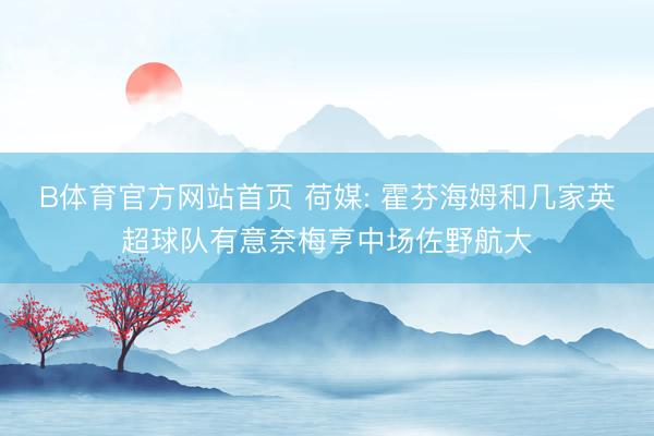 B体育官方网站首页 荷媒: 霍芬海姆和几家英超球队有意奈梅亨中场佐野航大