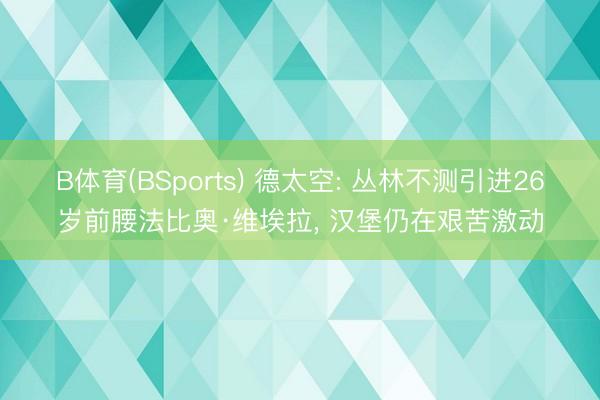 B体育(BSports) 德太空: 丛林不测引进26岁前腰法比奥·维埃拉， 汉堡仍在艰苦激动