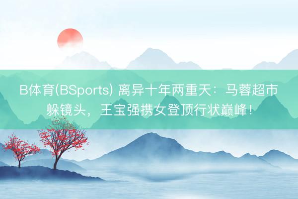 B体育(BSports) 离异十年两重天：马蓉超市躲镜头，王宝强携女登顶行状巅峰！