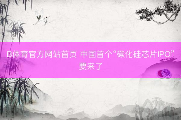 B体育官方网站首页 中国首个“碳化硅芯片IPO”要来了